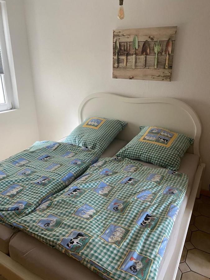 Ferienwohnung Am Gruenen Band, Gretchen Wittingen Dış mekan fotoğraf